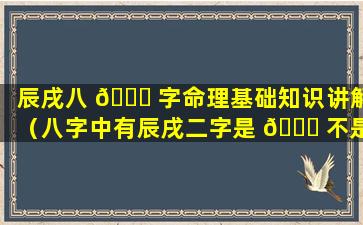 辰戌八 🐋 字命理基础知识讲解（八字中有辰戌二字是 💐 不是就没有贵人了）